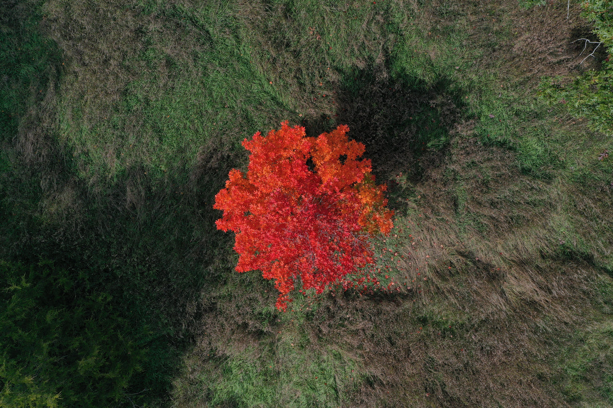 DJI 0002 photographic artwork by Chris Ahern Photography