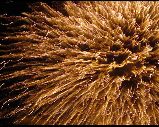 Golden fireworks lighting up the night in a celebratory scene — photograph by Chris Ahern