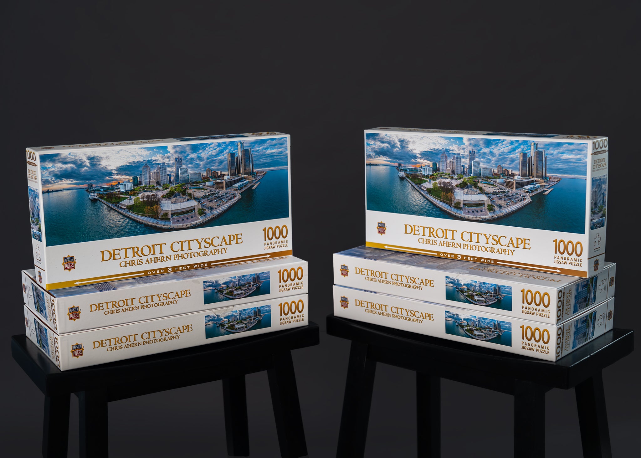 Detroit Cityscape Panoramic Puzzle (1000 pieces)