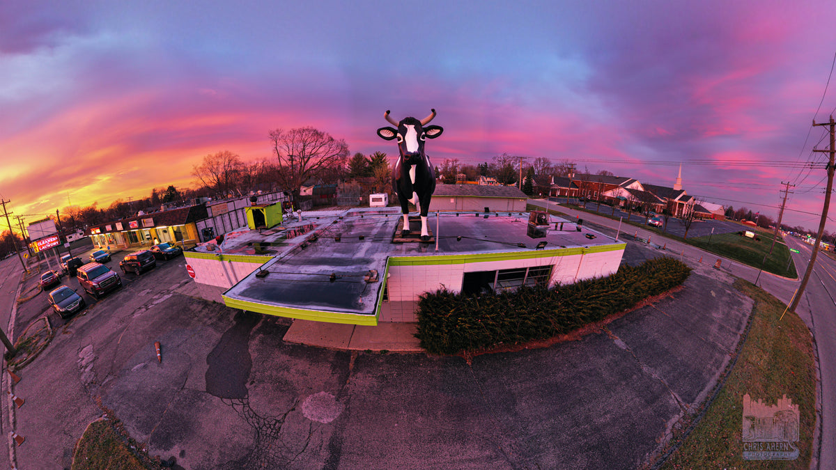Sunset Cow photographic artwork by Chris Ahern Photography